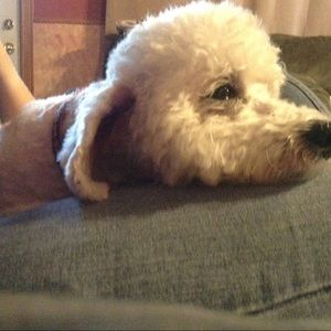 Meet your Posher, Nichole